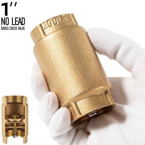 Lead brass check valve - 1",
